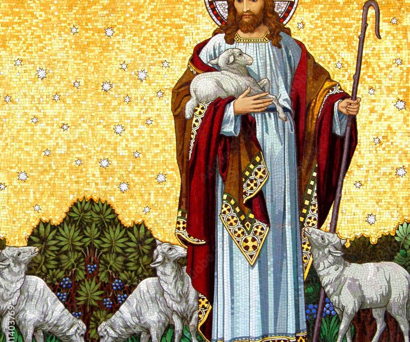 Listen, follow, love: Homily for the 4th Sunday of Easter (C)